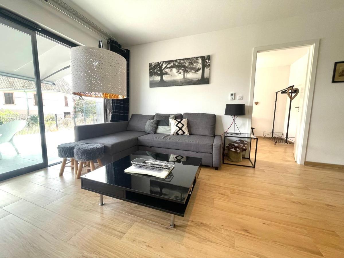 Magnifique 2 Pieces, Tout Equipe, Terrasse Privee Colmar Exterior photo